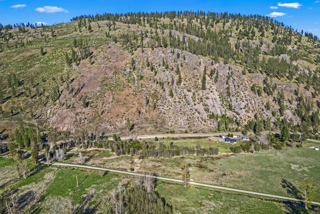 bird's eye view with a mountain view