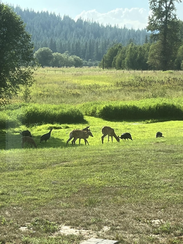 view of home's community with a rural view and a forest view