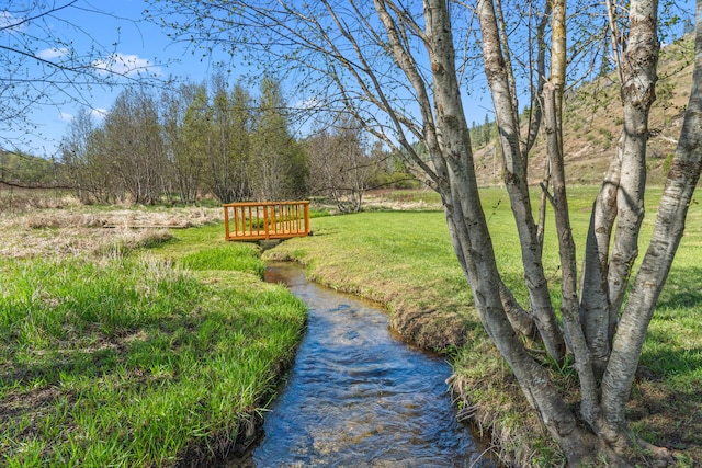 view of property's community featuring a yard