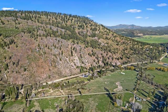 bird's eye view featuring a mountain view