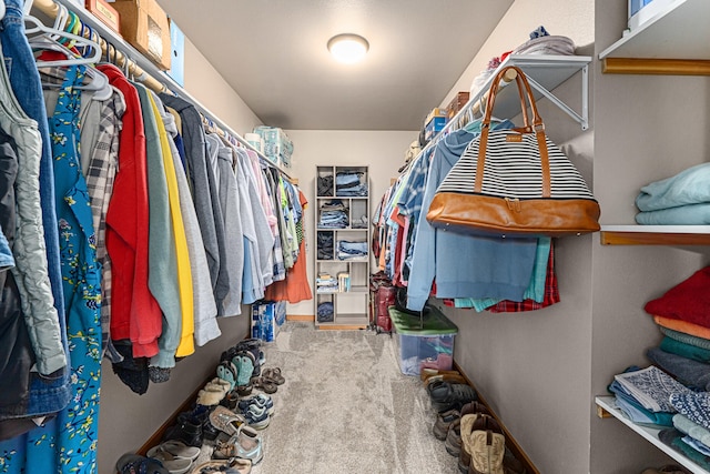walk in closet with carpet flooring
