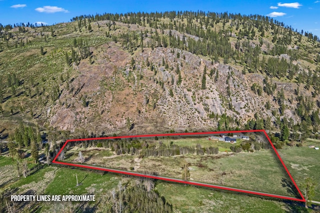 birds eye view of property featuring a mountain view