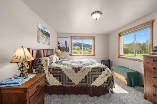 bedroom featuring carpet