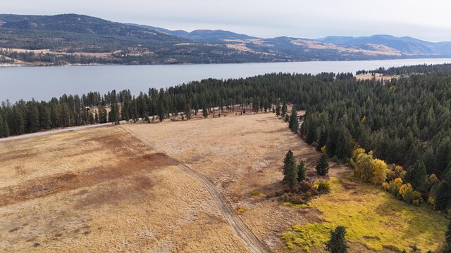 drone / aerial view featuring a wooded view and a water and mountain view