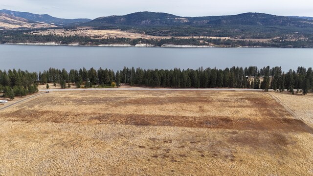 bird's eye view with a forest view and a water and mountain view