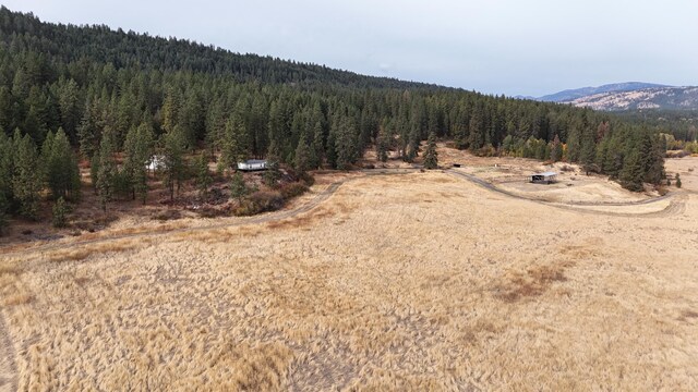 birds eye view of property with a forest view and a mountain view