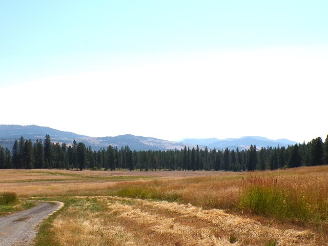 mountain view with a forest view