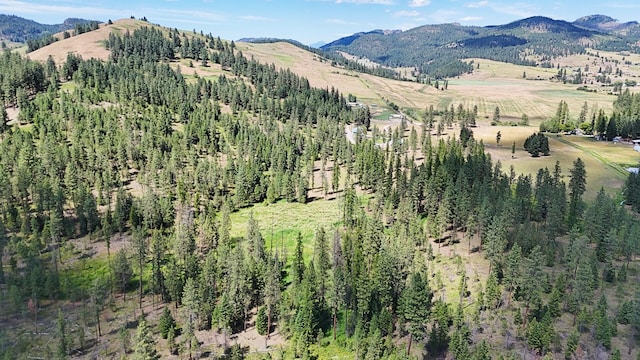 1425 Chapin Rd N, Evans, WA 99126 - photo 11