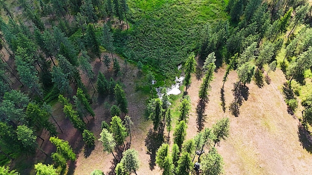 1425 Chapin Rd N, Evans, WA 99126 - photo 12