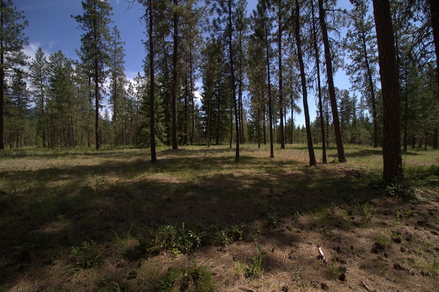 1425 Chapin Rd N, Evans, WA 99126 - view of woods