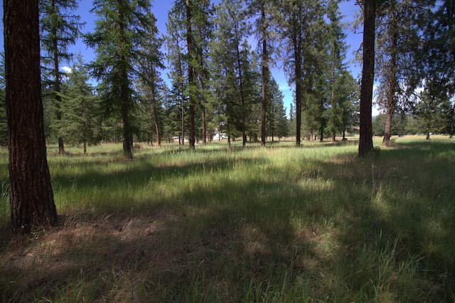 1425 Chapin Rd N, Evans, WA 99126 - view of undeveloped land