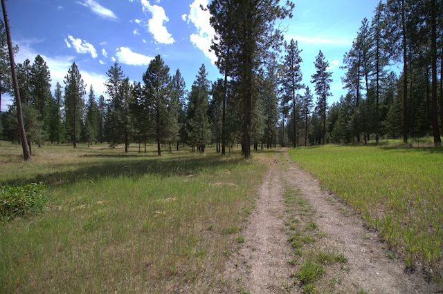 1425 Chapin Rd N, Evans, WA 99126 - view of road with a forest view