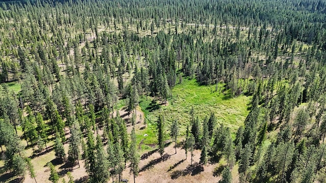 1425 Chapin Rd N, Evans, WA 99126 - photo 13