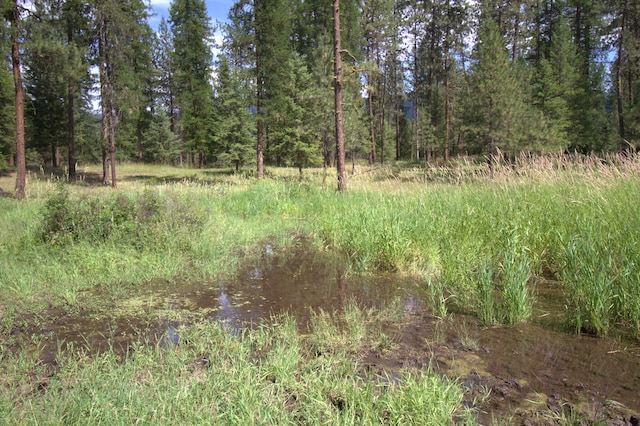 1425 Chapin Rd N, Evans, WA 99126 - view of tree filled area