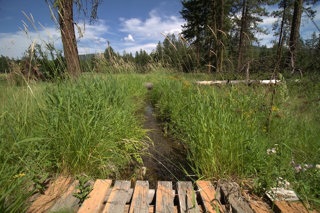 1425 Chapin Rd N, Evans, WA 99126 - view of yard