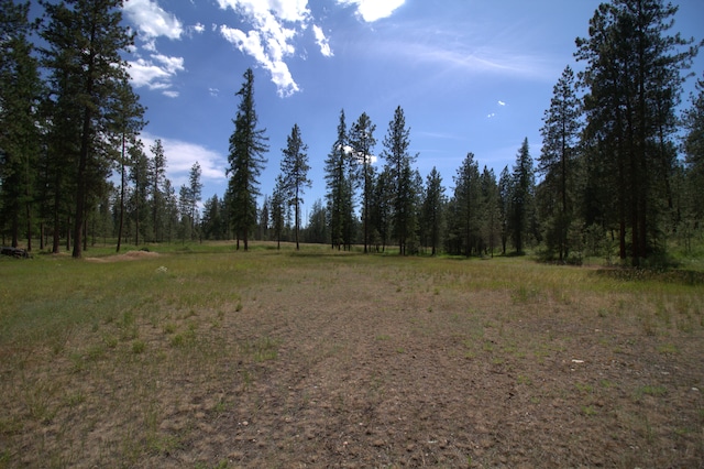 1425 Chapin Rd N, Evans, WA 99126 - view of tree filled area