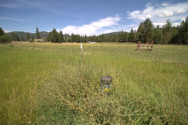 1425 Chapin Rd N, Evans, WA 99126 - photo 53