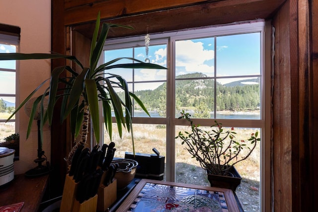 4004 N P Northport Flat Creek Rd, Northport, WA 99157 - view of interior details