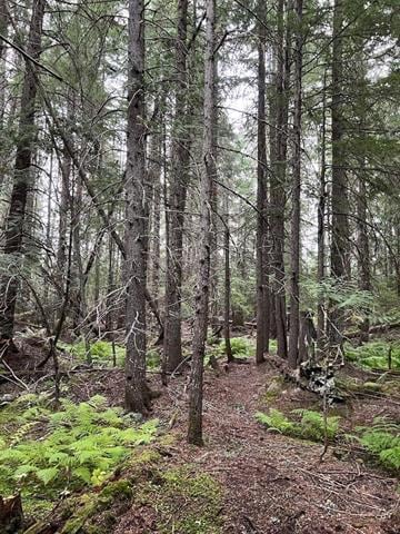 NKA Soggy Bottom Lane, Cusick, WA 99119 - photo 6