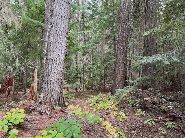 NKA Soggy Bottom Lane, Cusick, WA 99119 - photo 12