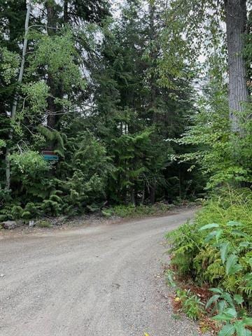 NKA Soggy Bottom Lane, Cusick, WA 99119 - photo 3