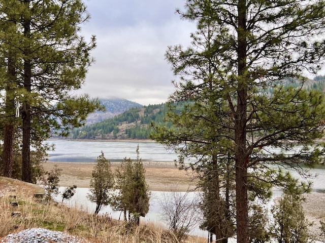 4070 Northport Flat Creek Rd, Northport, WA 99157 - property view of water
