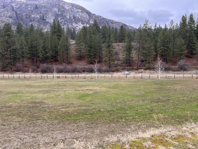 4070 Northport Flat Creek Rd, Northport, WA 99157 - view of yard featuring a mountain view and a rural view