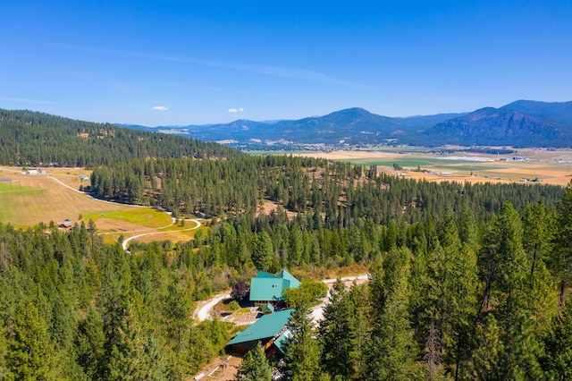 2751 Rathbun Way, Chewelah, WA 99109 - aerial view with a view of trees and a mountain view