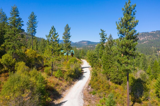 2751 Rathbun Way, Chewelah, WA 99109 - view of mountain feature featuring a forest view