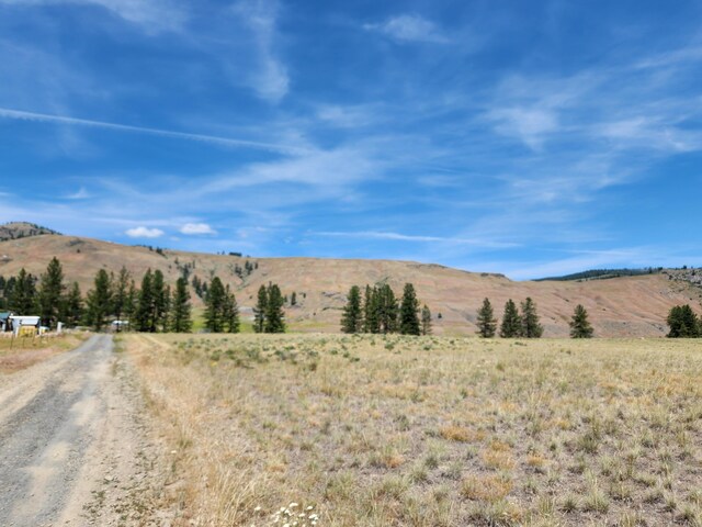 TBD Poglina Rd, Tonasket, WA 98855 - photo 2