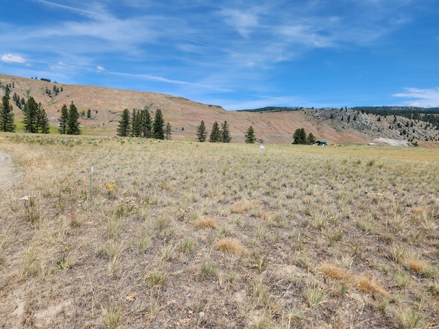TBD Poglina Rd, Tonasket, WA 98855 - photo 7