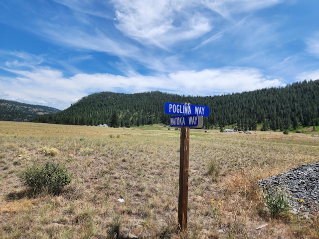 TBD Poglina Rd, Tonasket, WA 98855 - photo 6
