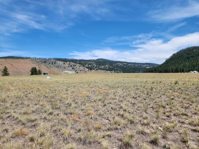 TBD Poglina Rd, Tonasket, WA 98855 - photo 3