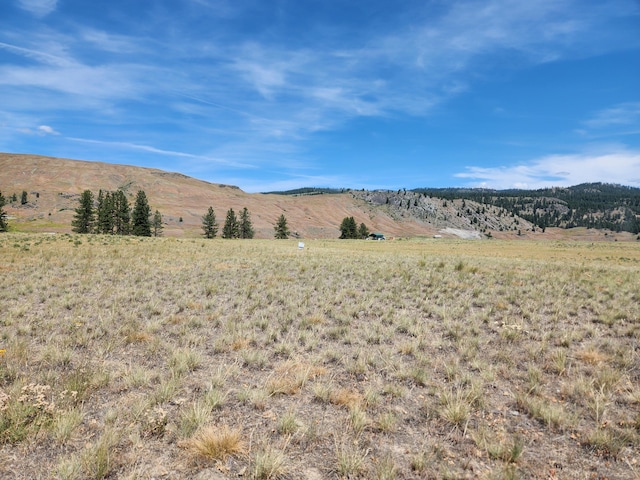 TBD Poglina Rd, Tonasket, WA 98855 - photo 8