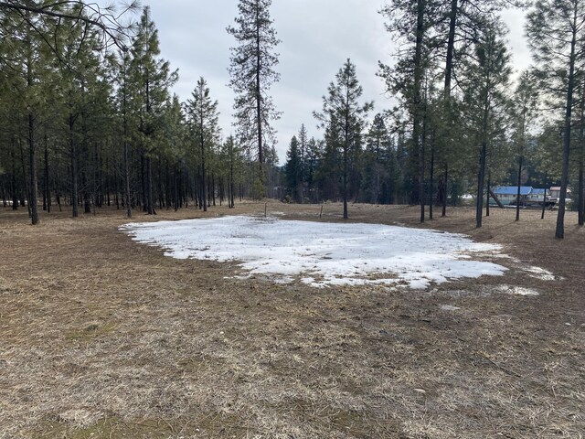 3347 Rockcut Rd, Kettle Falls, WA 99141 - photo 21