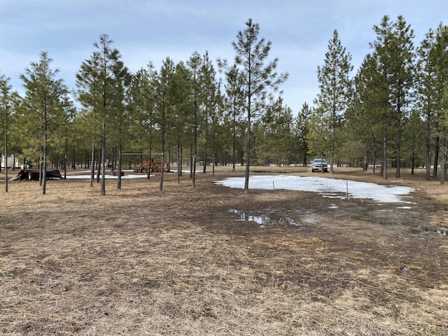 3347 Rockcut Rd, Kettle Falls, WA 99141 - photo 8