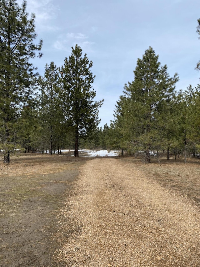 3347 Rockcut Rd, Kettle Falls, WA 99141 - photo 23