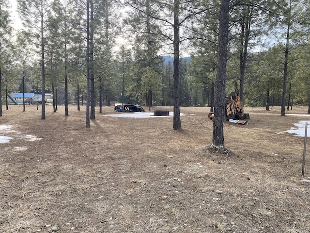 3347 Rockcut Rd, Kettle Falls, WA 99141 - photo 3
