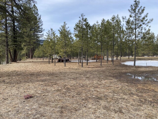 3347 Rockcut Rd, Kettle Falls, WA 99141 - photo 9