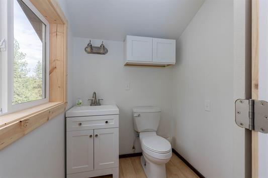 bathroom with toilet, wood finished floors, and vanity