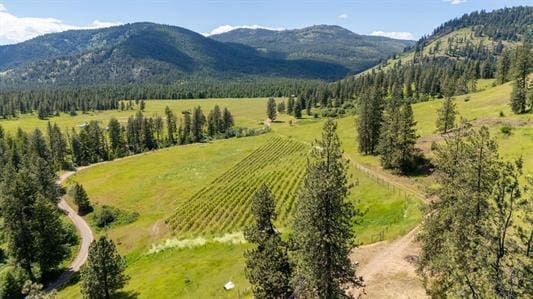 bird's eye view with a mountain view and a rural view