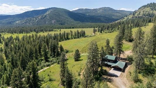 birds eye view of property featuring a forest view and a mountain view