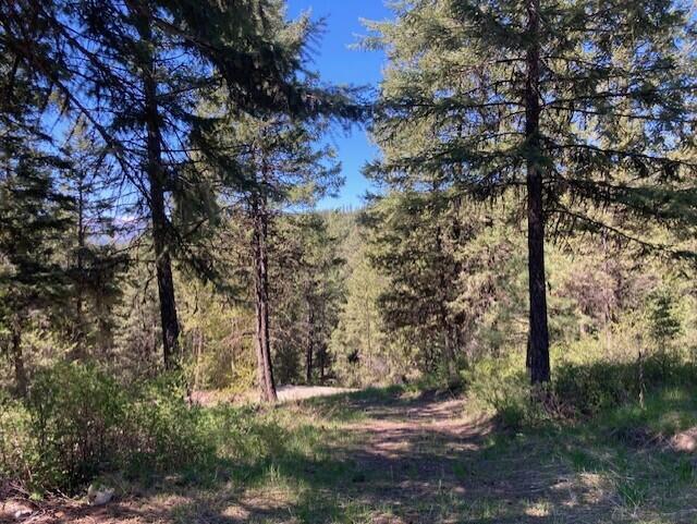 161 Jacknife Lookout Rd, Kettle Falls, WA 99141 - photo 16