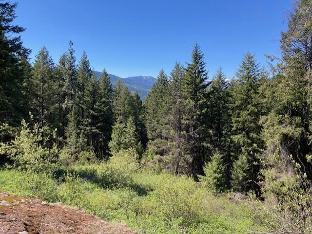 161 Jacknife Lookout Rd, Kettle Falls, WA 99141 - photo 9