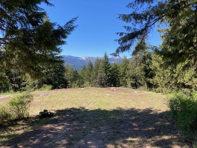 161 Jacknife Lookout Rd, Kettle Falls, WA 99141 - photo 2