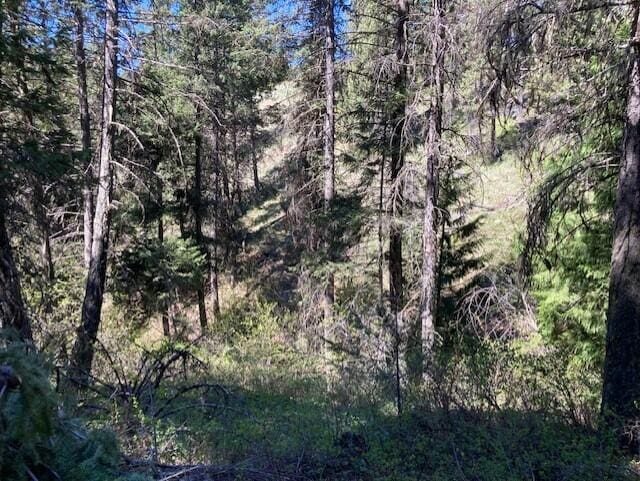 161 Jacknife Lookout Rd, Kettle Falls, WA 99141 - photo 17