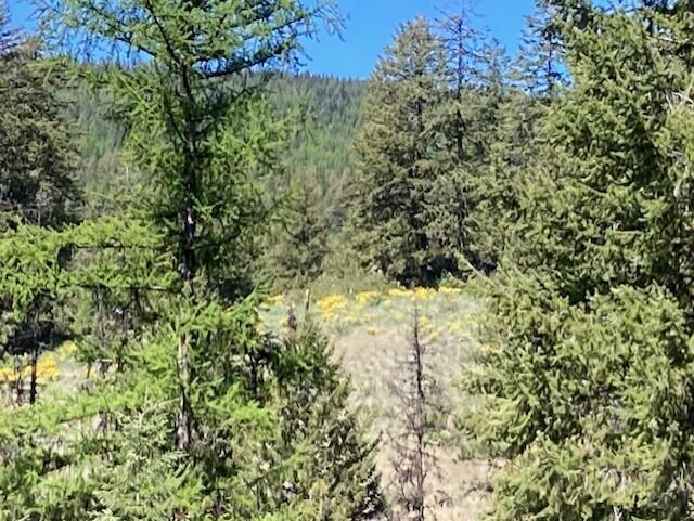 161 Jacknife Lookout Rd, Kettle Falls, WA 99141 - photo 10