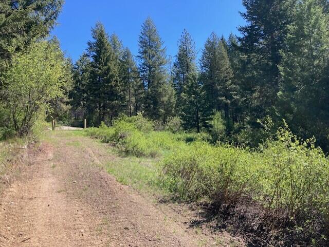 161 Jacknife Lookout Rd, Kettle Falls, WA 99141 - photo 13