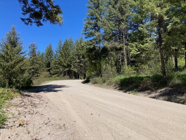 161 Jacknife Lookout Rd, Kettle Falls, WA 99141 - photo 22