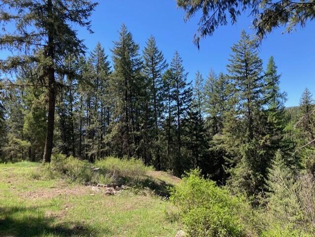 161 Jacknife Lookout Rd, Kettle Falls, WA 99141 - photo 8